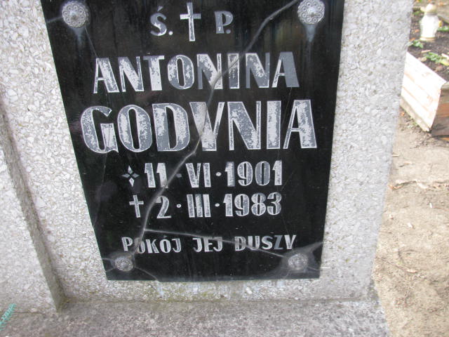 Grób Antonina Godynia