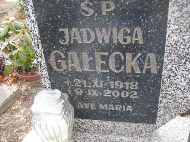 Jadwiga Gałecka 1918 Wołów - Grobonet - Wyszukiwarka osób pochowanych