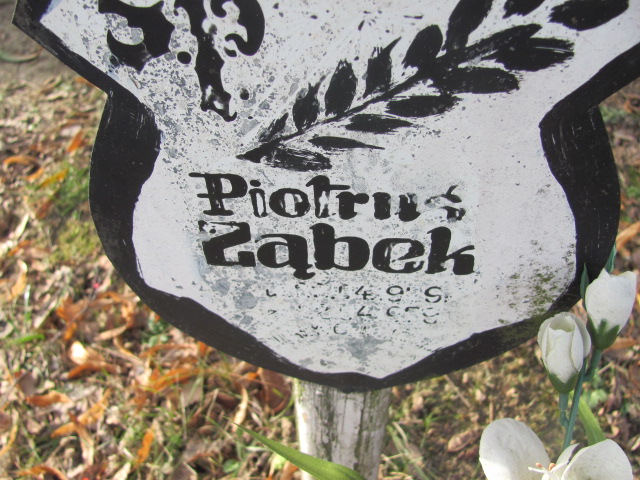 Piotr Ząbek 1979 Wołów - Grobonet - Wyszukiwarka osób pochowanych