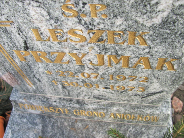Leszek Przyjmak 1972 Wołów - Grobonet - Wyszukiwarka osób pochowanych