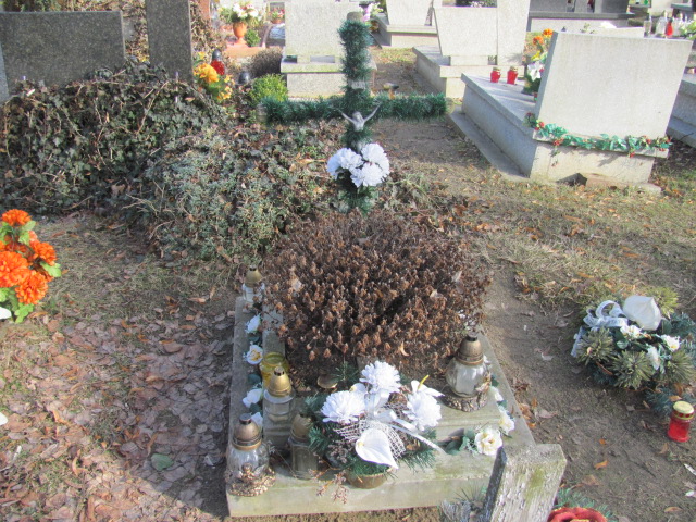  NN Wołów - Grobonet - Wyszukiwarka osób pochowanych