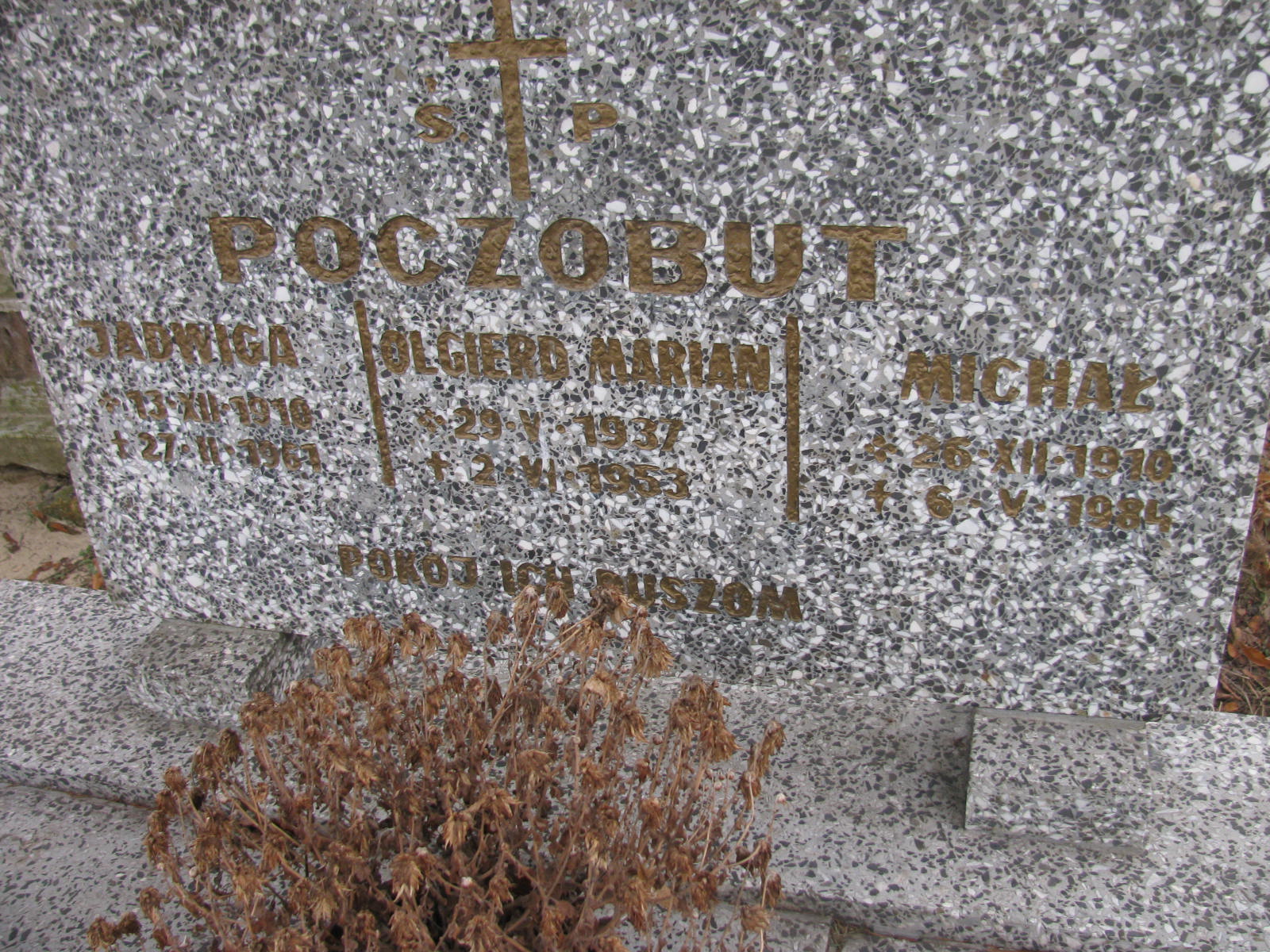 Michał Poczobut 1910 Wołów - Grobonet - Wyszukiwarka osób pochowanych