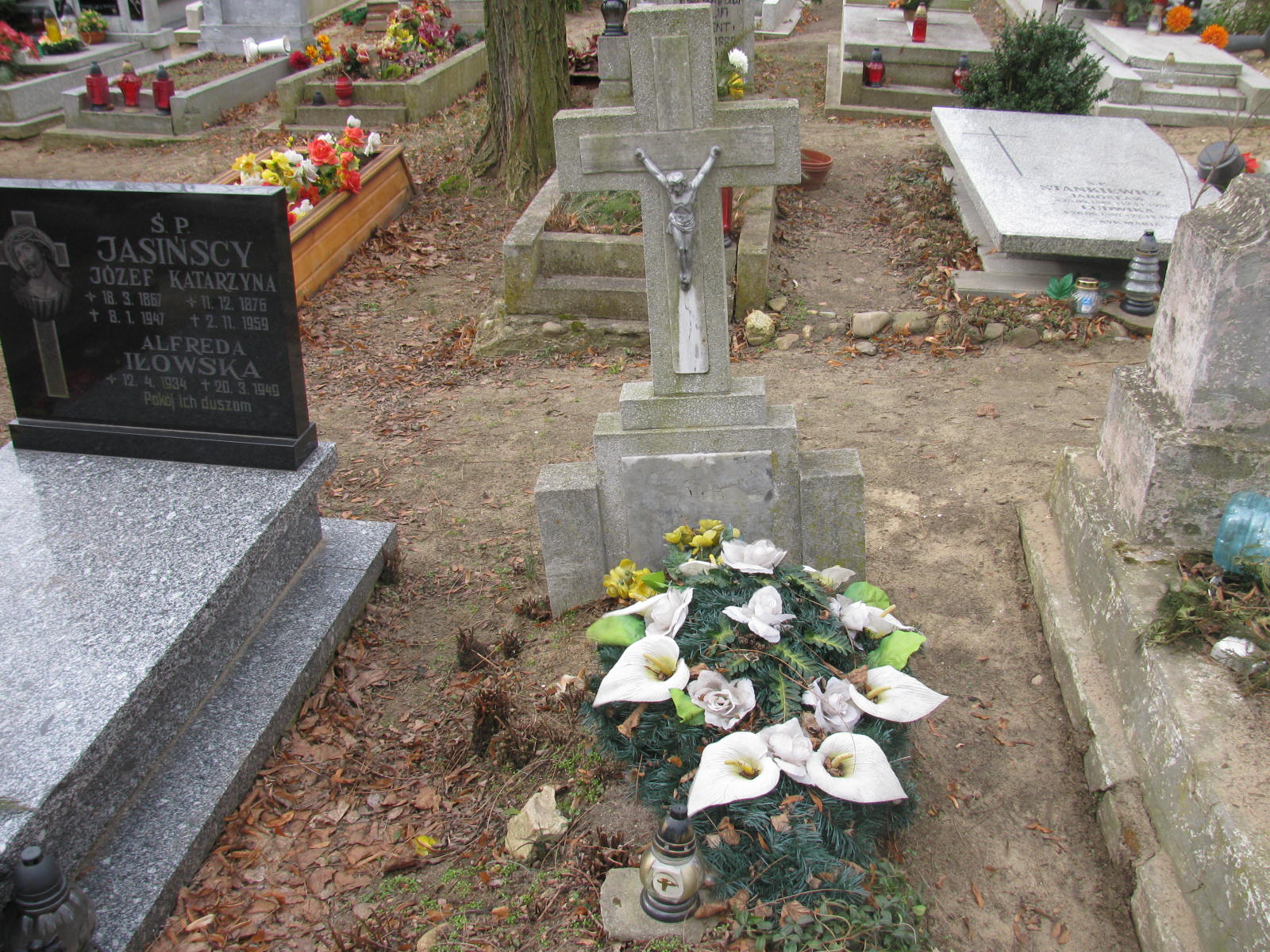  NN Wołów - Grobonet - Wyszukiwarka osób pochowanych