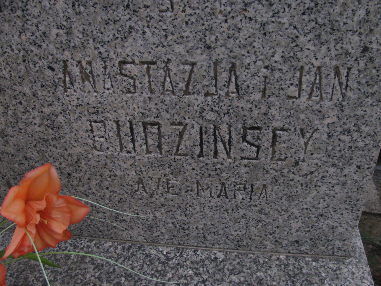 Grób Anastazja Budzińska