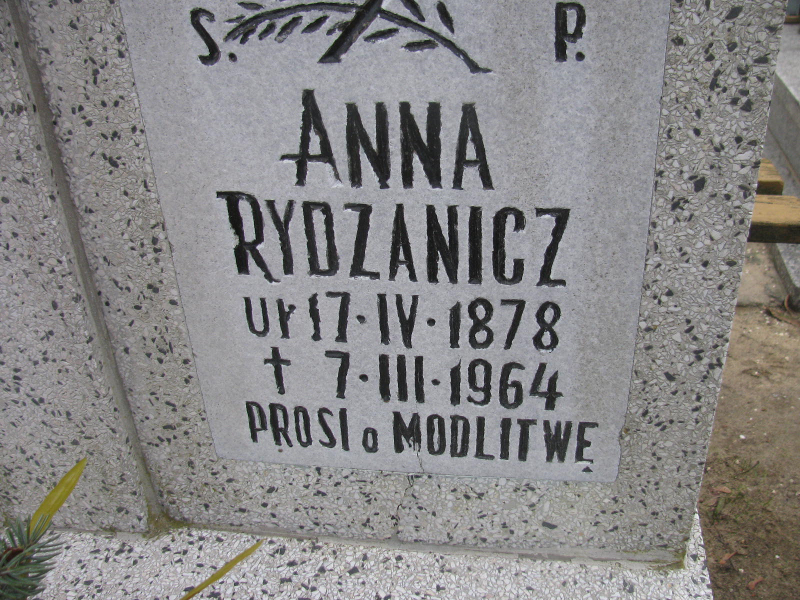 Dymitr Rydzanicz 1883 Wołów - Grobonet - Wyszukiwarka osób pochowanych