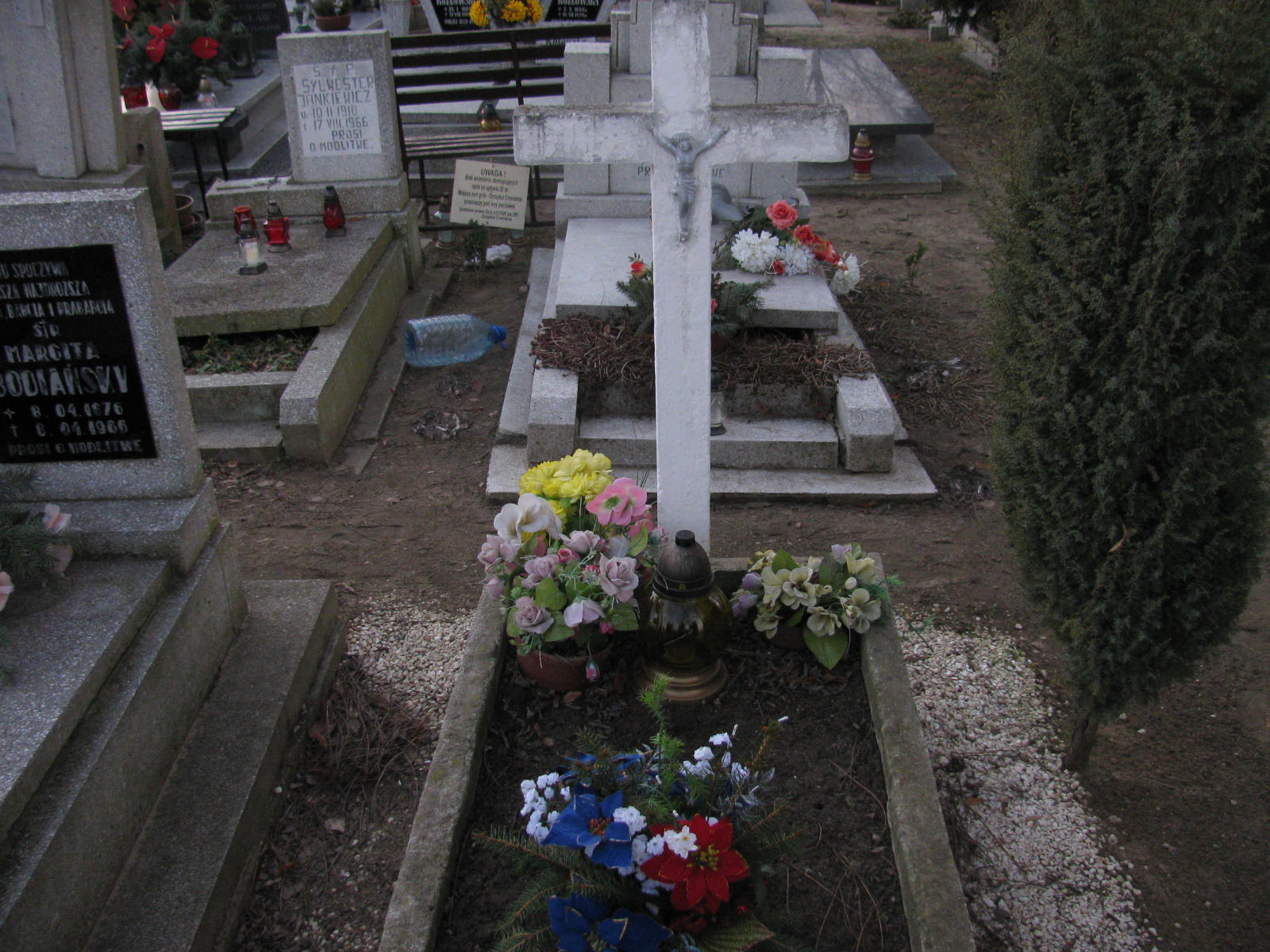 Władysława Mazurowska 1931 Wołów - Grobonet - Wyszukiwarka osób pochowanych