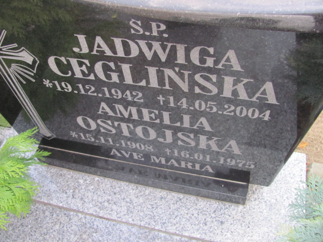 Małgorzata Ceglińska 1965 Wołów - Grobonet - Wyszukiwarka osób pochowanych