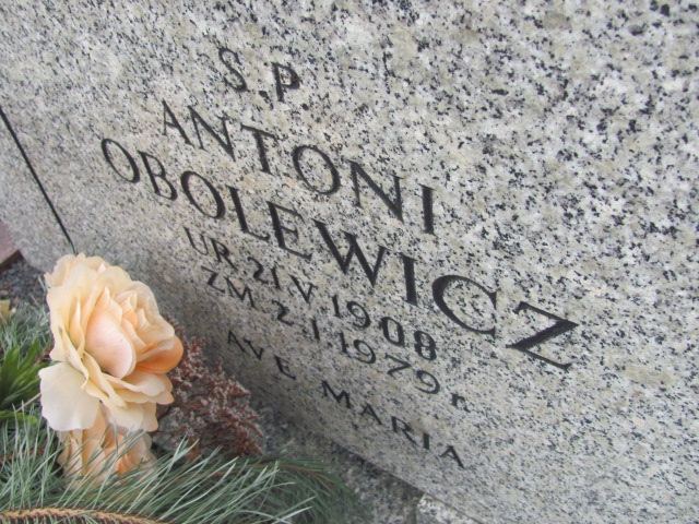 Antoni Obolewicz 1908 Wołów - Grobonet - Wyszukiwarka osób pochowanych