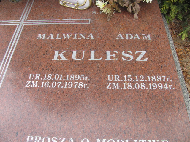 Adam Kulesz 1887 Wołów - Grobonet - Wyszukiwarka osób pochowanych