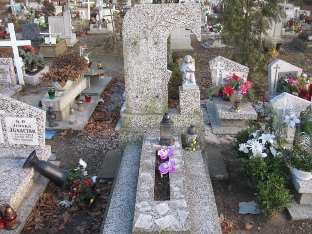  NN Wołów - Grobonet - Wyszukiwarka osób pochowanych