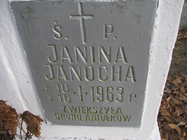 Janina Janocha 1963 Wołów - Grobonet - Wyszukiwarka osób pochowanych