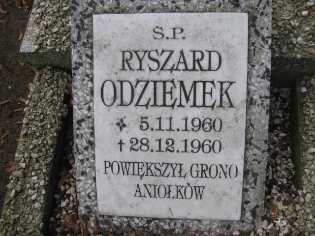 Ryszard Mikołaj Odziemek 1960 Wołów - Grobonet - Wyszukiwarka osób pochowanych