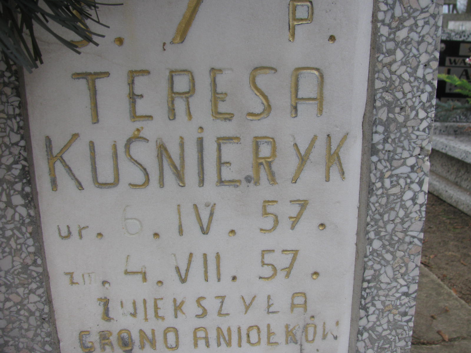 Teresa Kuśnieryk 1957 Wołów - Grobonet - Wyszukiwarka osób pochowanych