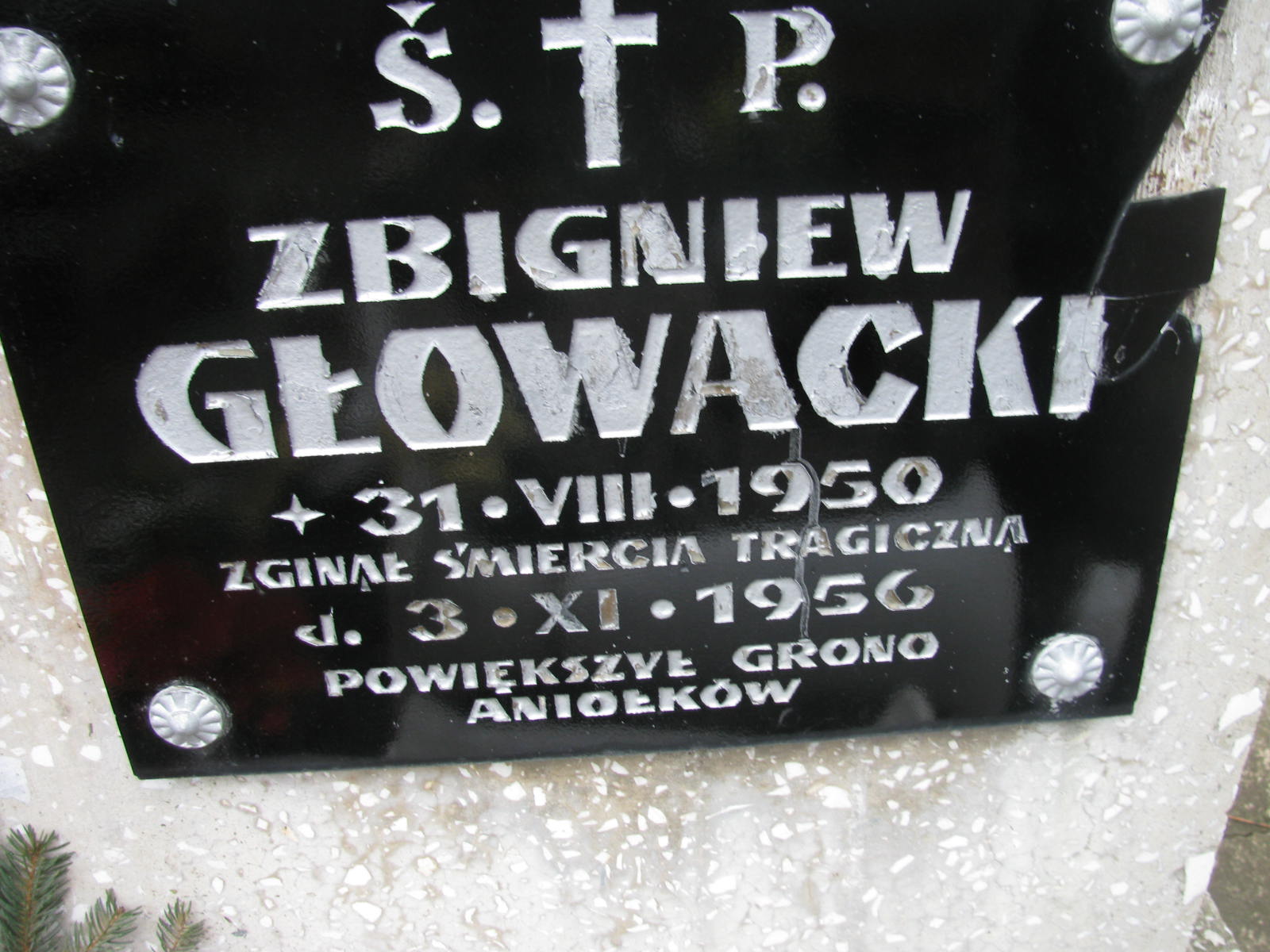 Zbigniew Głowacki 1950 Wołów - Grobonet - Wyszukiwarka osób pochowanych