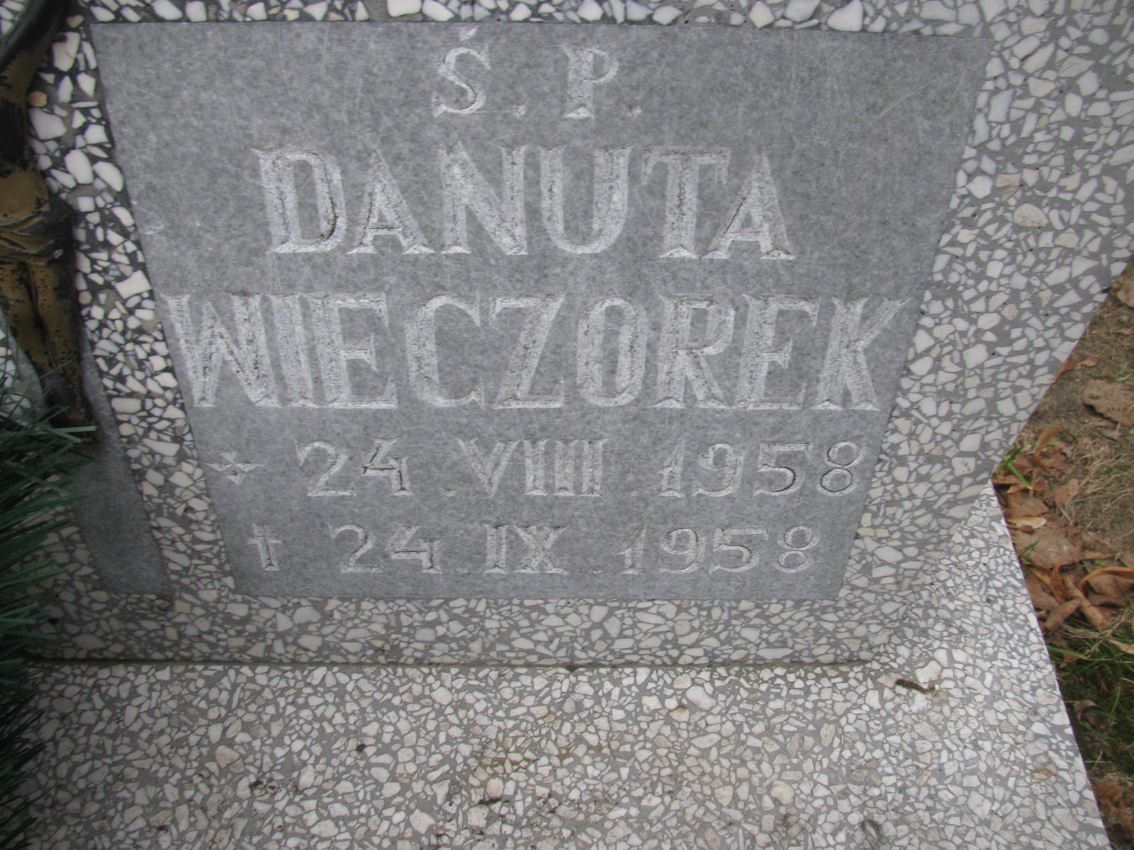 Danuta Wieczorek 1958 Wołów - Grobonet - Wyszukiwarka osób pochowanych
