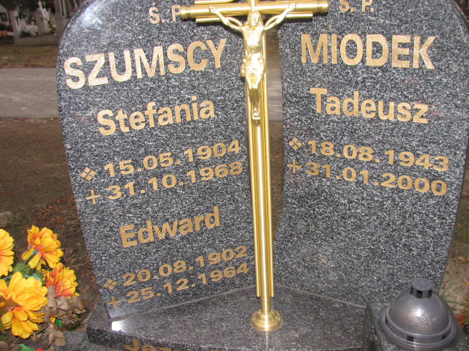 Tadeusz Miodek 1943 Wołów - Grobonet - Wyszukiwarka osób pochowanych