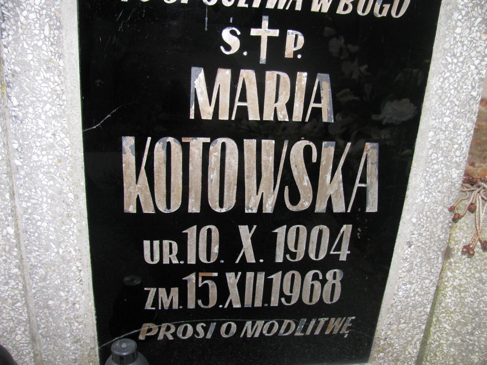 Maria Kotowska 1904 Wołów - Grobonet - Wyszukiwarka osób pochowanych