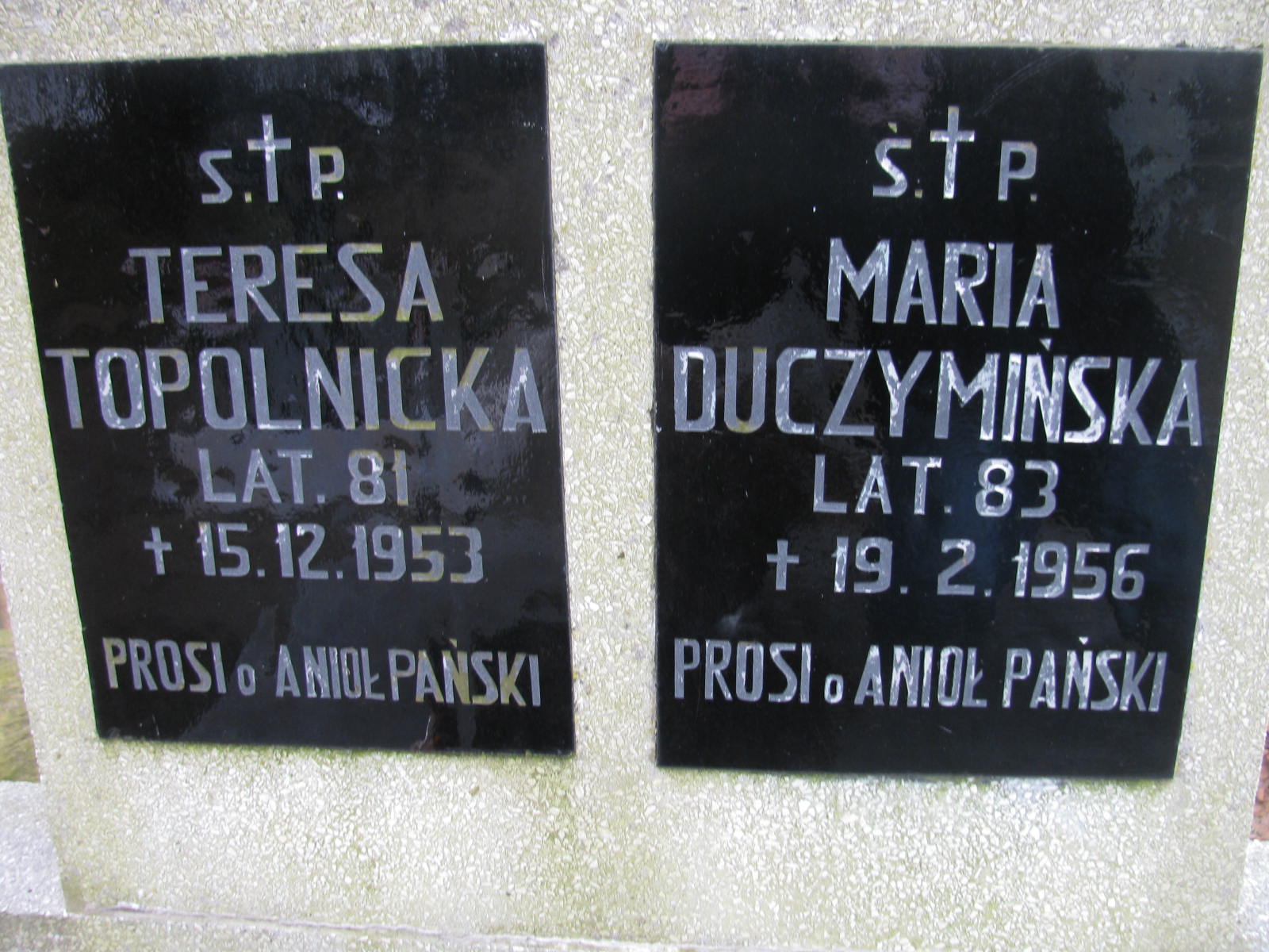 Teresa Topolnicka Wołów - Grobonet - Wyszukiwarka osób pochowanych