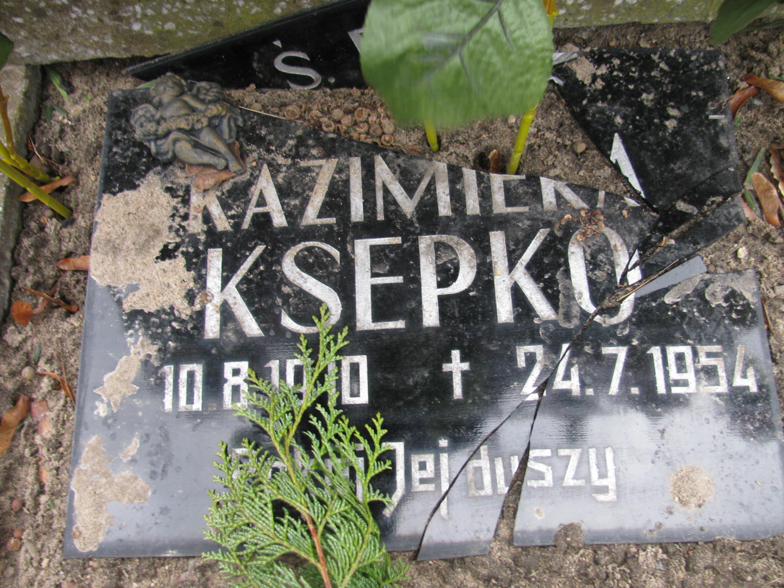 Mieczysław Ożdżyński 1959 Wołów - Grobonet - Wyszukiwarka osób pochowanych