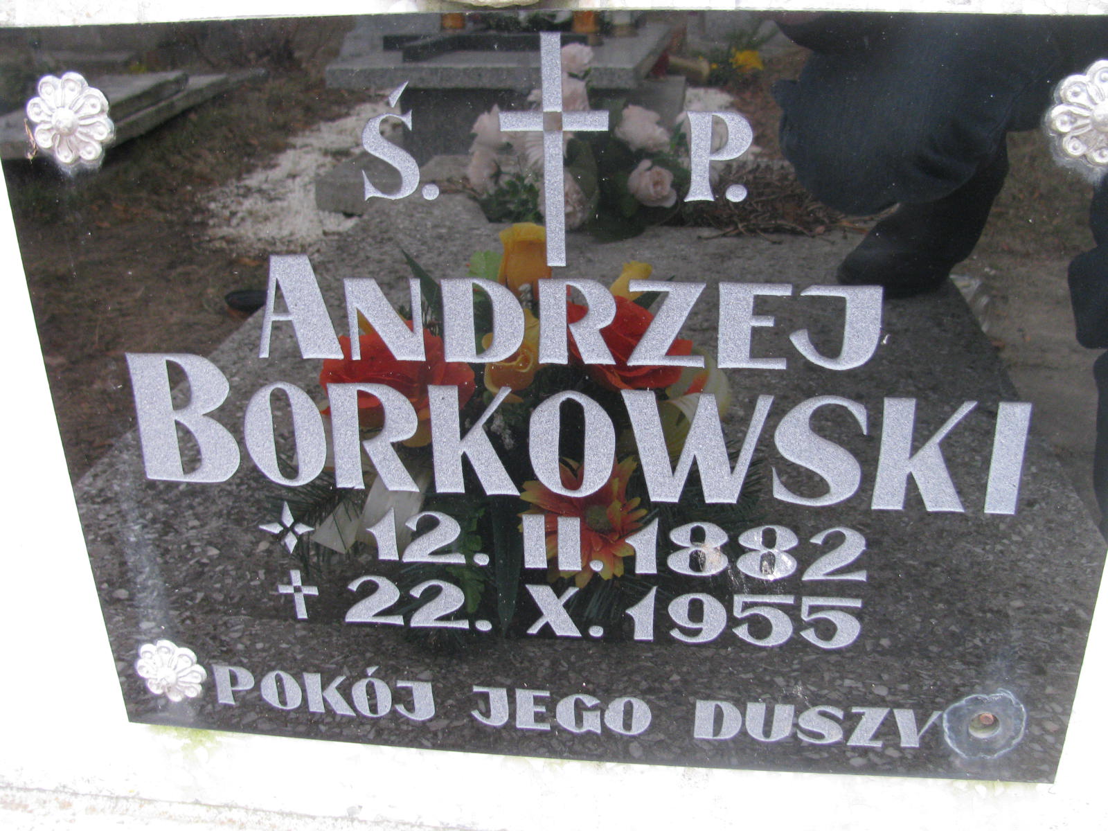 Andrzej Borkowski 1882 Wołów - Grobonet - Wyszukiwarka osób pochowanych