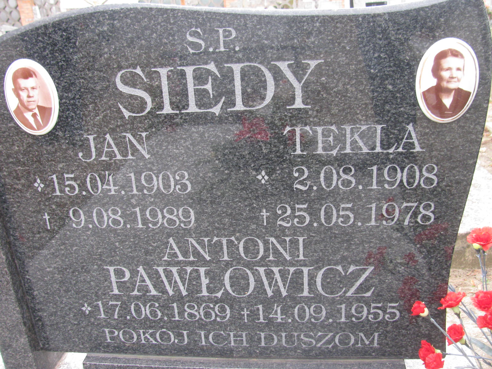 Tekla Siedy 1908 Wołów - Grobonet - Wyszukiwarka osób pochowanych