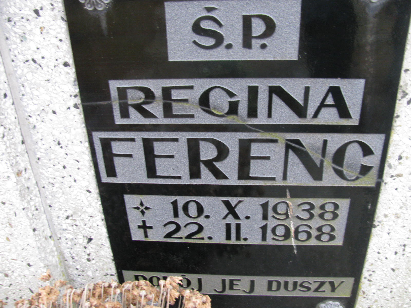 Anna Szlachtycz 1960 Wołów - Grobonet - Wyszukiwarka osób pochowanych