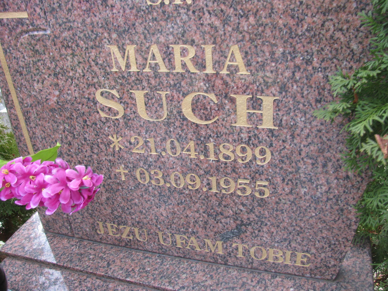 Maria Such 1899 Wołów - Grobonet - Wyszukiwarka osób pochowanych