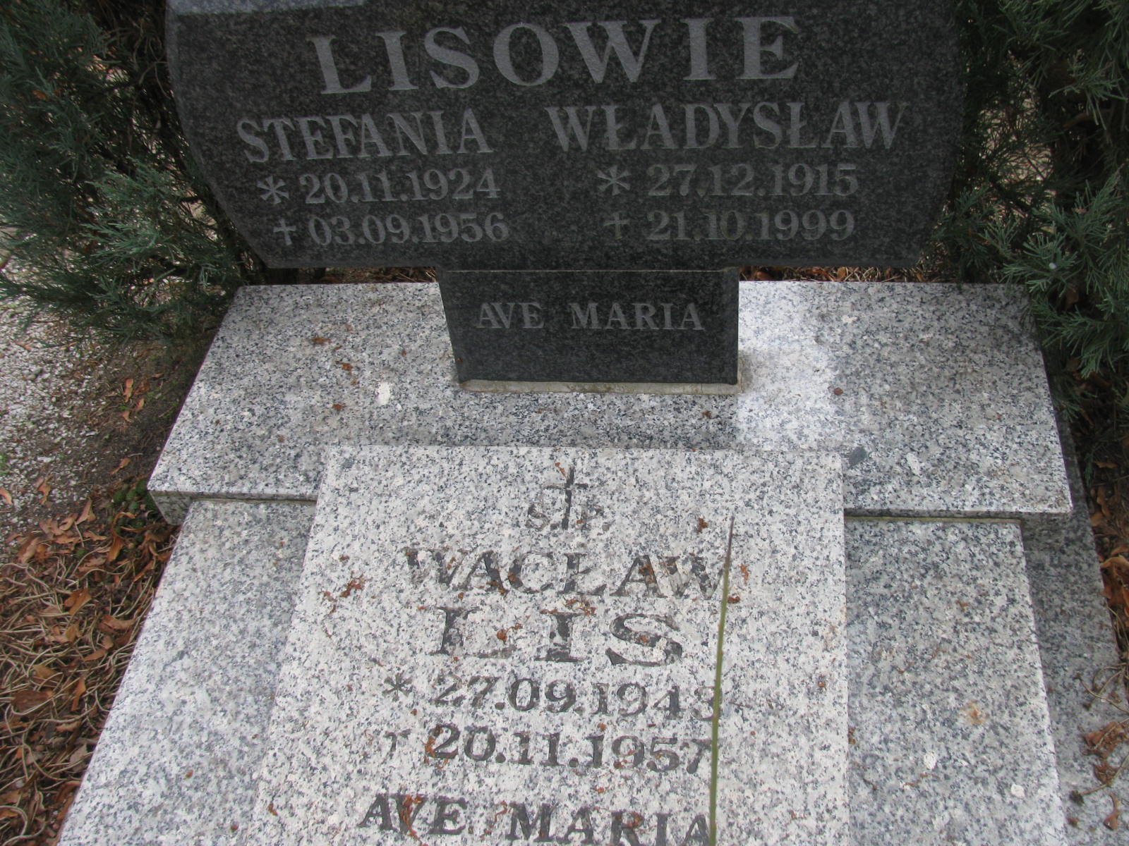 Władysław Gładysiak 1890 Wołów - Grobonet - Wyszukiwarka osób pochowanych