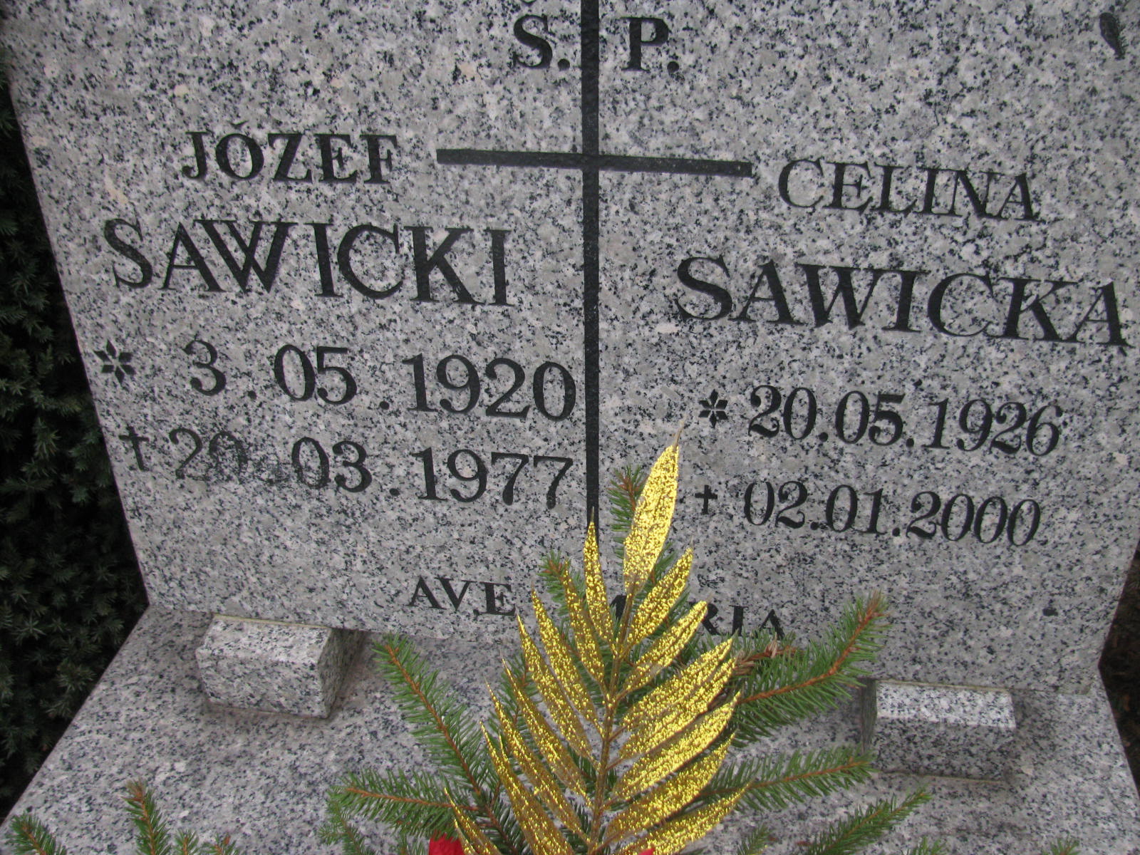 Tadeusz Sawicki 1954 Wołów - Grobonet - Wyszukiwarka osób pochowanych