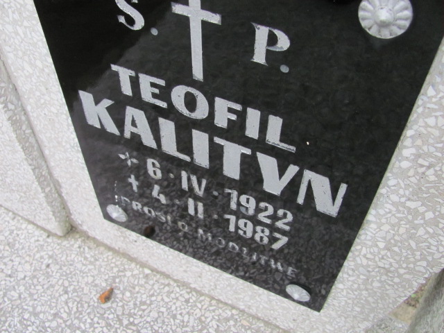 Teofil Kalityn 1922 Wołów - Grobonet - Wyszukiwarka osób pochowanych