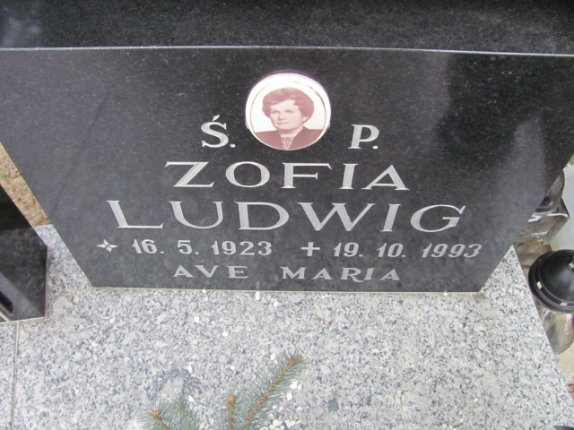 Adam Ludwig 1960 Wołów - Grobonet - Wyszukiwarka osób pochowanych