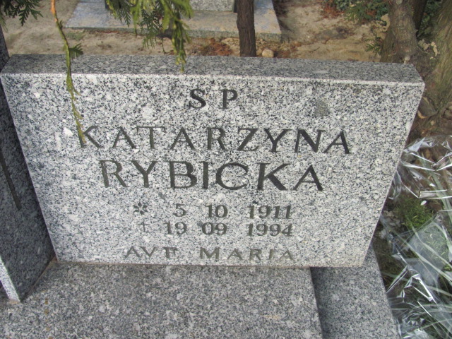 Aleksandra Steczkiewicz 1939 Wołów - Grobonet - Wyszukiwarka osób pochowanych