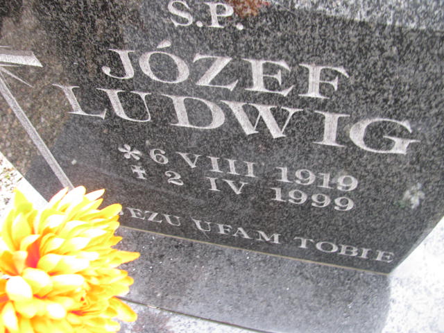 Józef Ludwig 1919 Wołów - Grobonet - Wyszukiwarka osób pochowanych