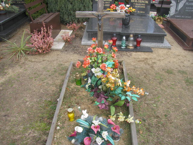  NN Wołów - Grobonet - Wyszukiwarka osób pochowanych