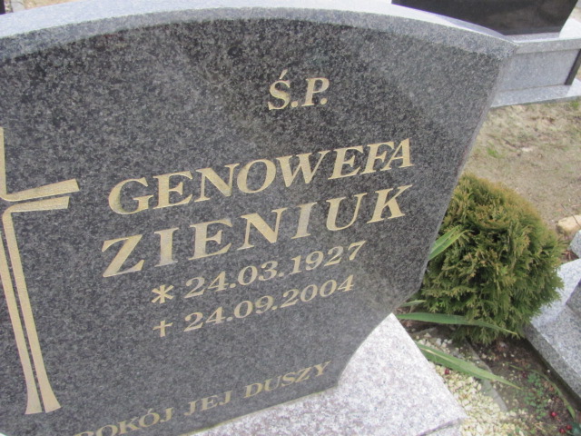 Grób Henryk Zieniuk