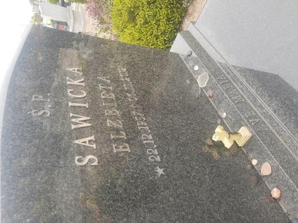 Elżbieta Sawicka 1957 Wołów - Grobonet - Wyszukiwarka osób pochowanych